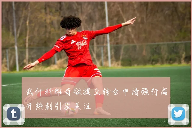 武什科维奇欲提交转会申请强行离开热刺引发关注